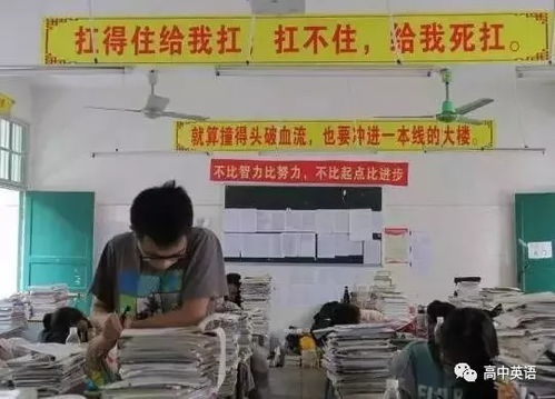 毛坦廠中學(xué)復(fù)讀班開(kāi)學(xué)盛況 熱議中的“高考工廠”與偏遠(yuǎn)農(nóng)村教育路徑探索